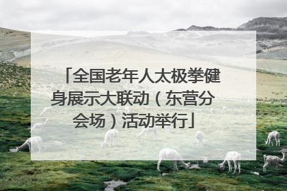 全国老年人太极拳健身展示大联动（东营分会场）活动举行