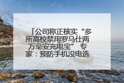 公司称正核实“多所高校禁用罗马仕两万毫安充电宝” 专家：预防手机没电选中等体积产品即可