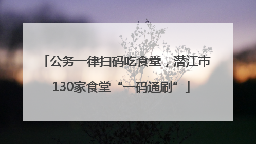 公务一律扫码吃食堂，潜江市130家食堂“一码通刷”