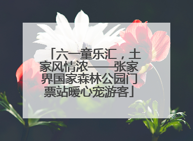 六一童乐汇，土家风情浓——张家界国家森林公园门票站暖心宠游客
