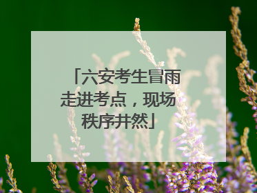 六安考生冒雨走进考点，现场秩序井然