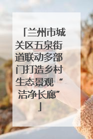 兰州市城关区五泉街道联动多部门打造乡村生态景观“洁净长廊”