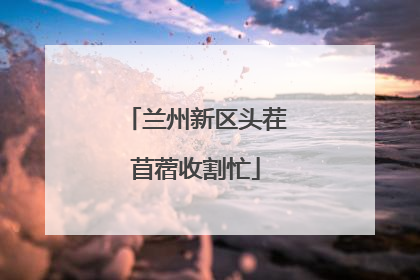 兰州新区头茬苜蓿收割忙