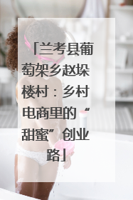 兰考县葡萄架乡赵垛楼村：乡村电商里的“甜蜜”创业路
