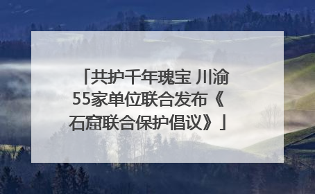 共护千年瑰宝 川渝55家单位联合发布《石窟联合保护倡议》