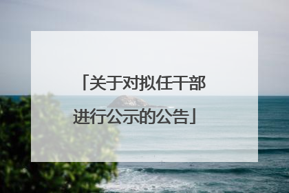 关于对拟任干部进行公示的公告