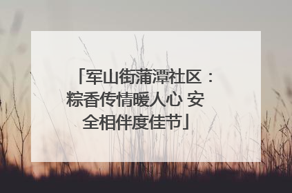 军山街蒲潭社区：粽香传情暖人心 安全相伴度佳节