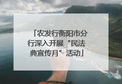 农发行衡阳市分行深入开展“民法典宣传月”活动