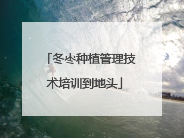 冬枣种植管理技术培训到地头