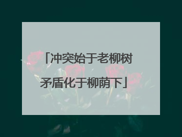 冲突始于老柳树 矛盾化于柳荫下