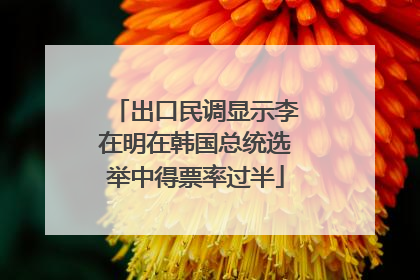 出口民调显示李在明在韩国总统选举中得票率过半