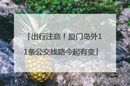 出行注意！厦门岛外11条公交线路今起有变