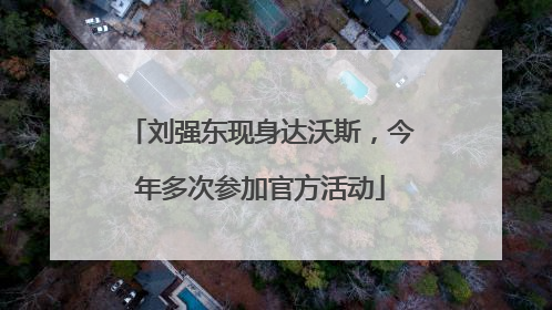 刘强东现身达沃斯，今年多次参加官方活动