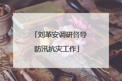 刘革安调研督导防汛抗灾工作