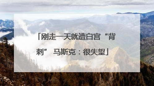 刚走一天就遭白宫“背刺” 马斯克：很失望