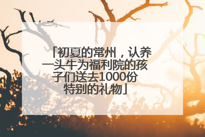 初夏的常州，认养一头牛为福利院的孩子们送去1000份特别的礼物