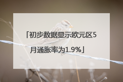 初步数据显示欧元区5月通胀率为1.9%