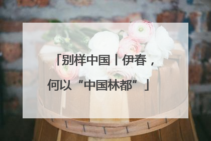 别样中国丨伊春，何以“中国林都”