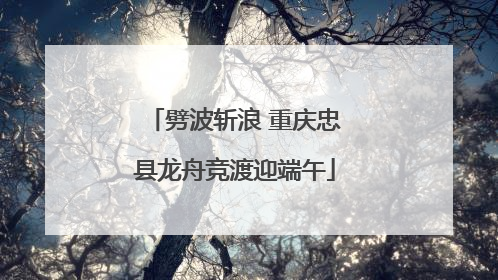 劈波斩浪 重庆忠县龙舟竞渡迎端午