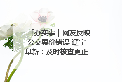 办实事｜网友反映公交票价错误 辽宁阜新：及时核查更正 加强实时巡检