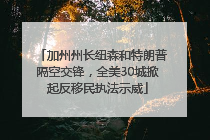 加州州长纽森和特朗普隔空交锋，全美30城掀起反移民执法示威