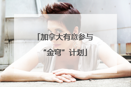 加拿大有意参与“金穹”计划