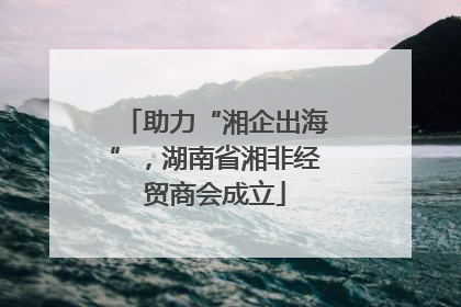 助力“湘企出海”，湖南省湘非经贸商会成立