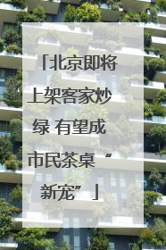 北京即将上架客家炒绿 有望成市民茶桌“新宠”