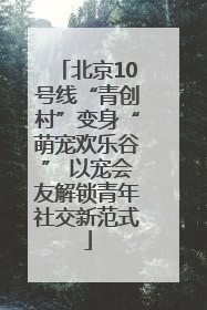 北京10号线“青创村”变身“萌宠欢乐谷” 以宠会友解锁青年社交新范式