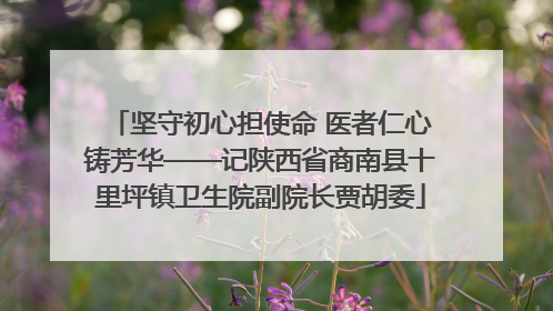 坚守初心担使命 医者仁心铸芳华——记陕西省商南县十里坪镇卫生院副院长贾胡委