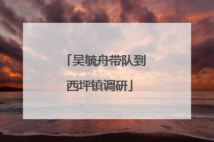 吴毓舟带队到西坪镇调研
