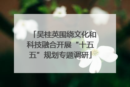 吴桂英围绕文化和科技融合开展“十五五”规划专题调研