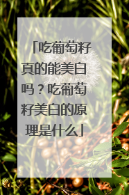 吃葡萄籽真的能美白吗？吃葡萄籽美白的原理是什么