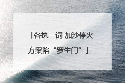 各执一词 加沙停火方案陷“罗生门”