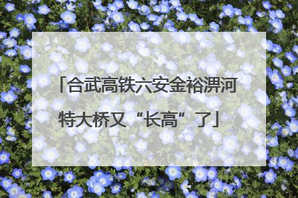 合武高铁六安金裕淠河特大桥又“长高”了
