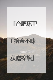 合肥环卫工拾金不昧获赠锦旗