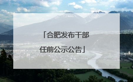 合肥发布干部任前公示公告