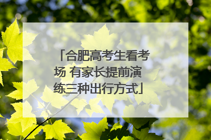 合肥高考生看考场 有家长提前演练三种出行方式