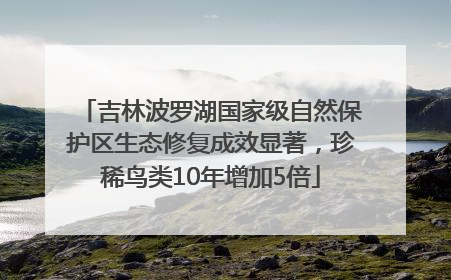 吉林波罗湖国家级自然保护区生态修复成效显著，珍稀鸟类10年增加5倍