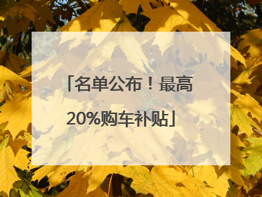 名单公布！最高20%购车补贴