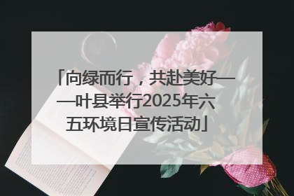 向绿而行，共赴美好——叶县举行2025年六五环境日宣传活动