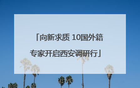 向新求质 10国外籍专家开启西安调研行