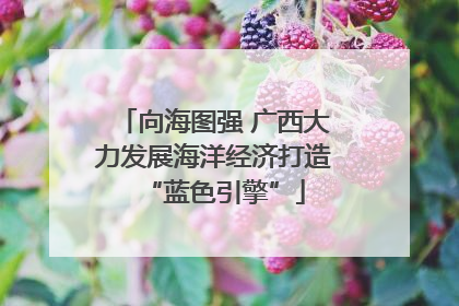 向海图强 广西大力发展海洋经济打造“蓝色引擎”
