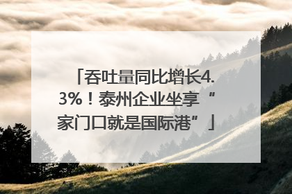 吞吐量同比增长4.3%！泰州企业坐享“家门口就是国际港”