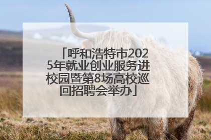 呼和浩特市2025年就业创业服务进校园暨第8场高校巡回招聘会举办