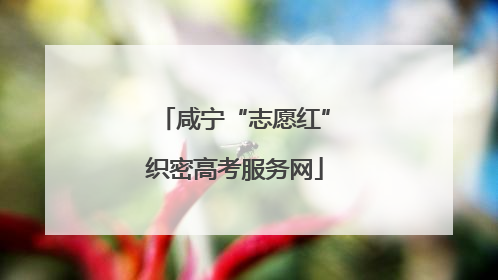 咸宁“志愿红”织密高考服务网
