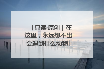品读·原创｜在这里，永远想不出会遇到什么动物