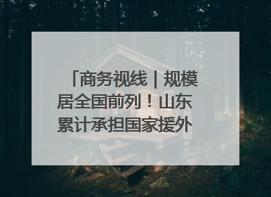 商务视线｜规模居全国前列！山东累计承担国家援外项目340多个