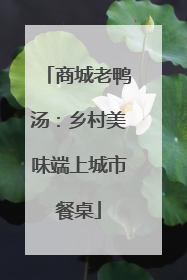 商城老鸭汤：乡村美味端上城市餐桌