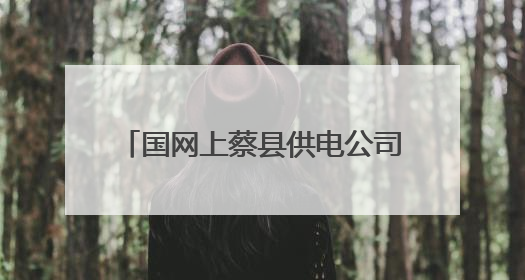国网上蔡县供电公司：供电服务在身边 安全咨询“零距离”